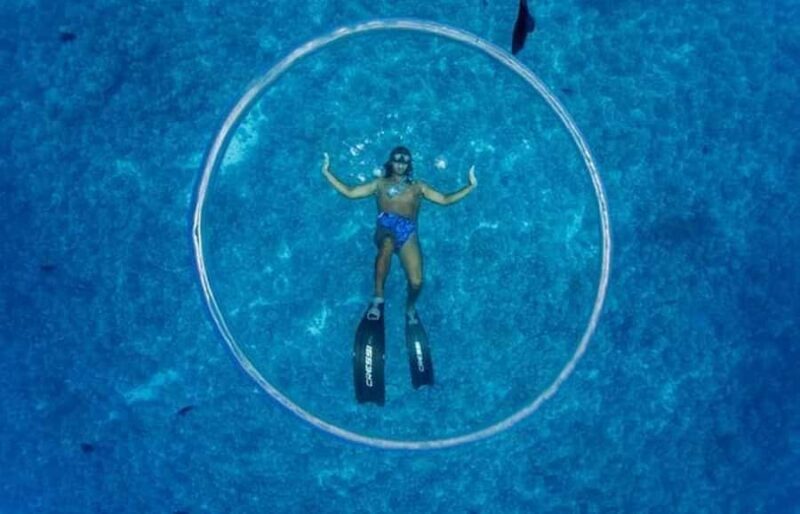 Bora Bora: Lagoon Snorkeling Half-Day Private Boat Tour - FAQ