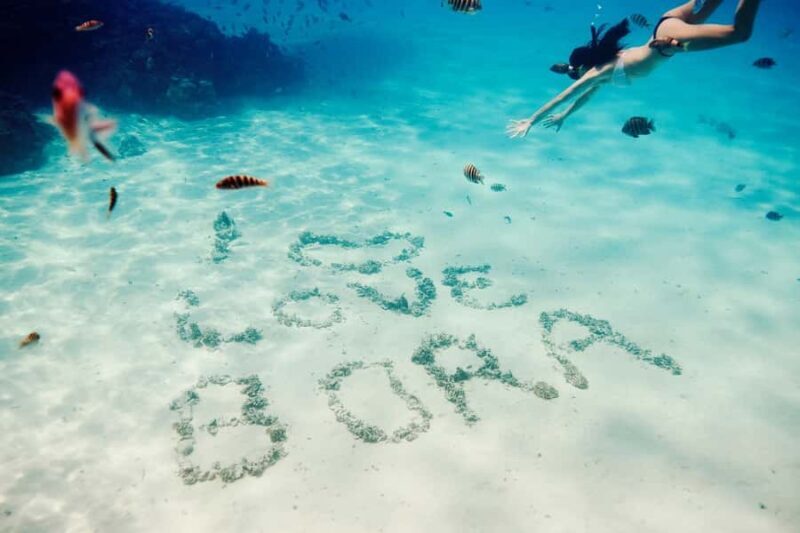 Bora Bora: Lagoon Tour and Snorkeling Experience - Key Points