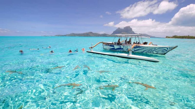 Bora Bora: Lagoon Tour and Snorkeling Experience - What You Can Expect from the Tour