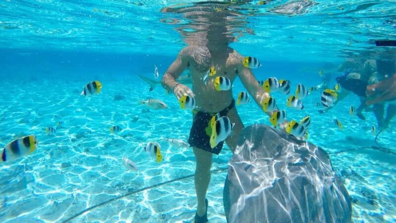 Bora Bora: Lagoon Tour and Snorkeling Experience - Who Should Consider This Tour?