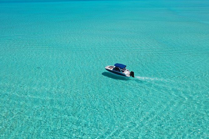 Bora Bora: Luxury Private Half Day Snorkeling Tour - Who Should Book This Tour?