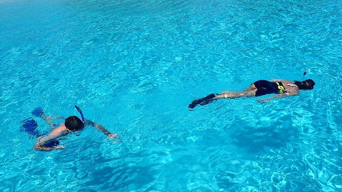 Bora Bora: Luxury Private Half Day Snorkeling Tour - FAQ