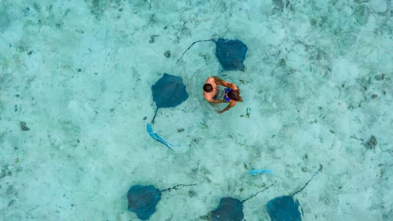 Bora Bora Luxury Tour and Beach Picnic - Things to consider