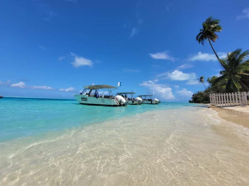 Bora Bora: Morning 2 tank dive for certified divers - Key Points