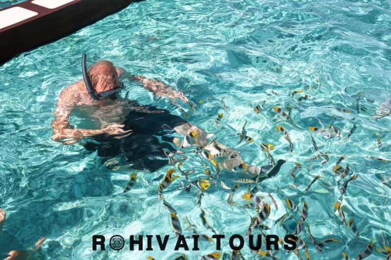 Bora Bora: Private 1/2 day lagoon safari tour - What Travelers Say
