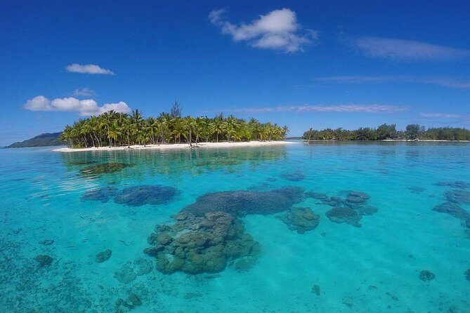 Bora Bora Private Lagoon Tours - The Experience in Detail