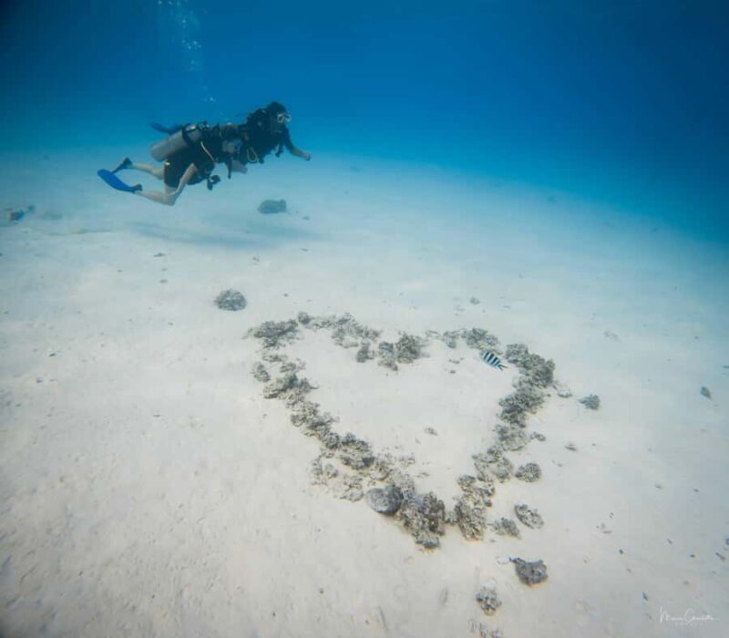 Bora Bora: Romantic Dive for Two People (Beginners) - The Value for Travelers