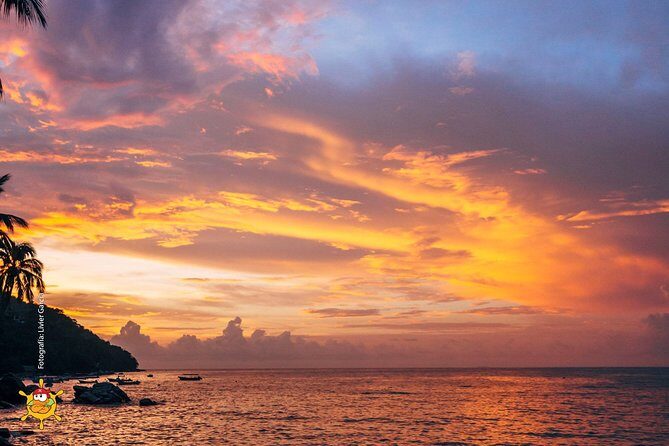 Bora Bora Sail to Yelapa - Who Is This Tour Best For?