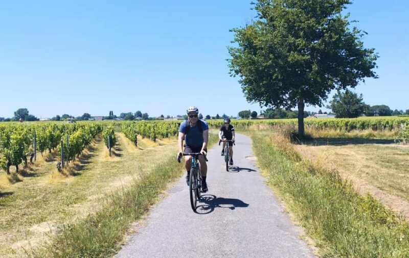 Bordeaux by Gravel Bike : Monumets, vineyards & wine tasting - Who Will Love This Tour?