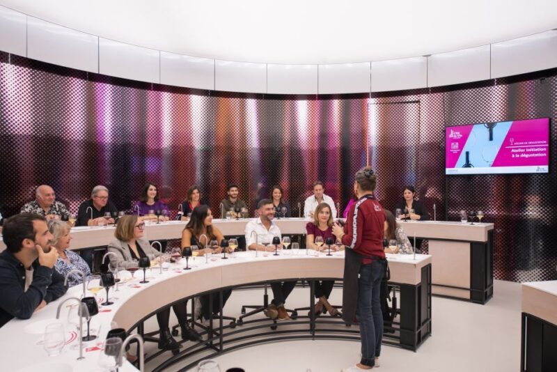 Bordeaux: Cité du Vin Entry Ticket and Wine Tasting - Who Is This Tour Best For?