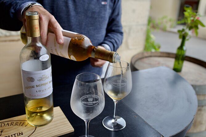 Bordeaux : Full Day Wine Tastings & Gourmet Lunch - Analyzing the Value