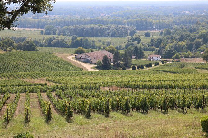 Bordeaux : Full Day Wine Tastings & Gourmet Lunch - Final Thoughts