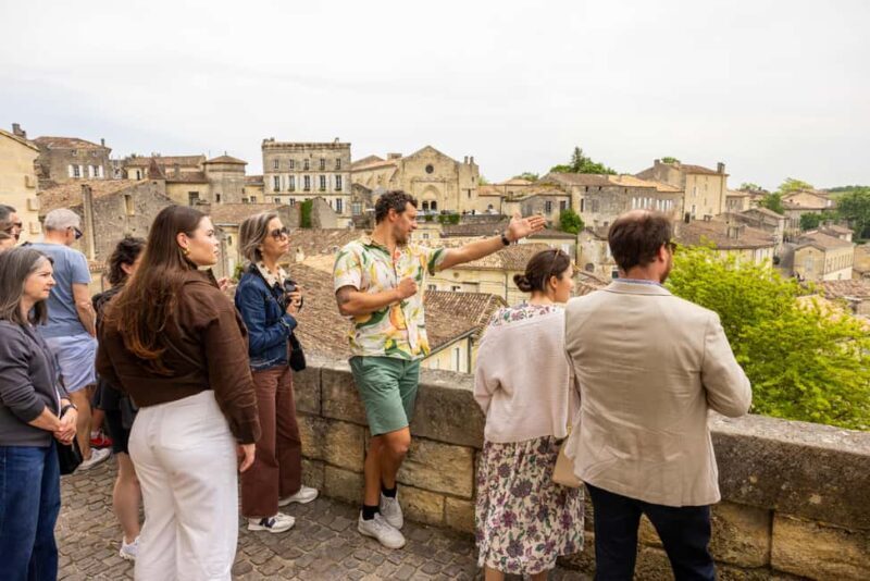 Bordeaux Full Day Wine Tour - 3 Wineries & Picnic Lunch - An Overview of the Day