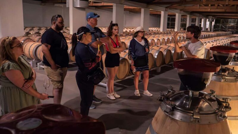 Bordeaux: Half-Day Margaux Tour with Wine Tastings - What’s Not Included