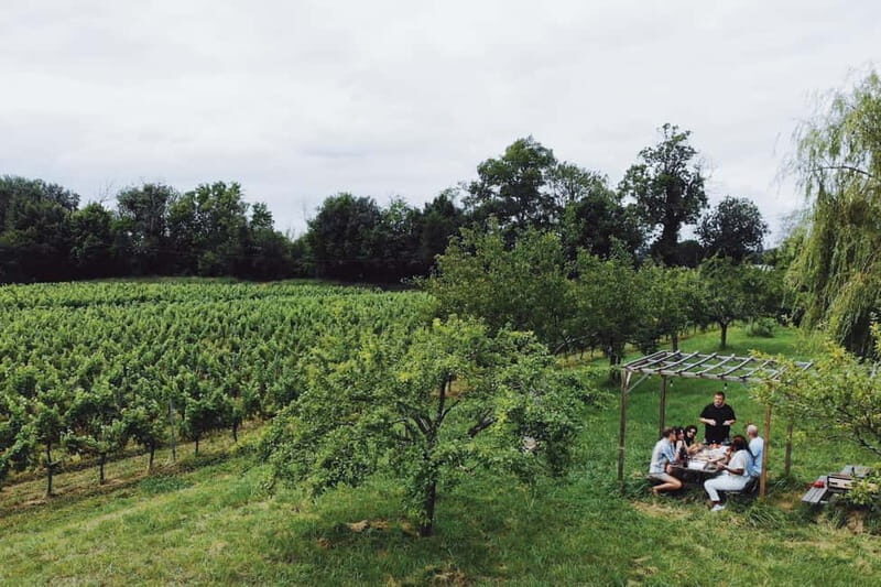 Bordeaux: Half-Day Private Natural Wine Tour & Tasting - A Closer Look at Bordeaux’s Natural Wine Tour