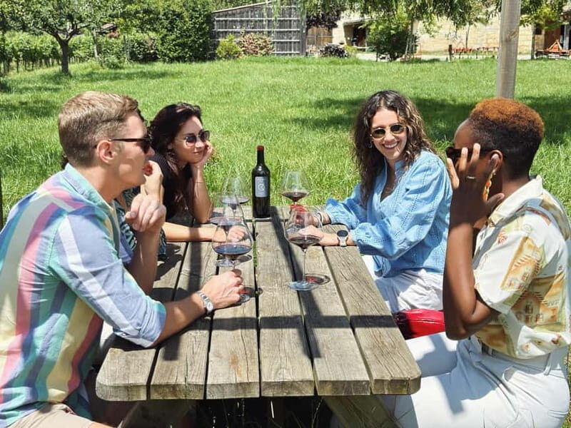 Bordeaux: Half-Day Private Natural Wine Tour & Tasting - The Itinerary in Detail