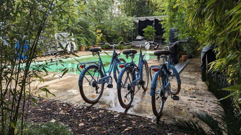 Bordeaux: Historical Bike Tour of the Three Bridges - What to Expect from the Bordeaux Bicycle Tour