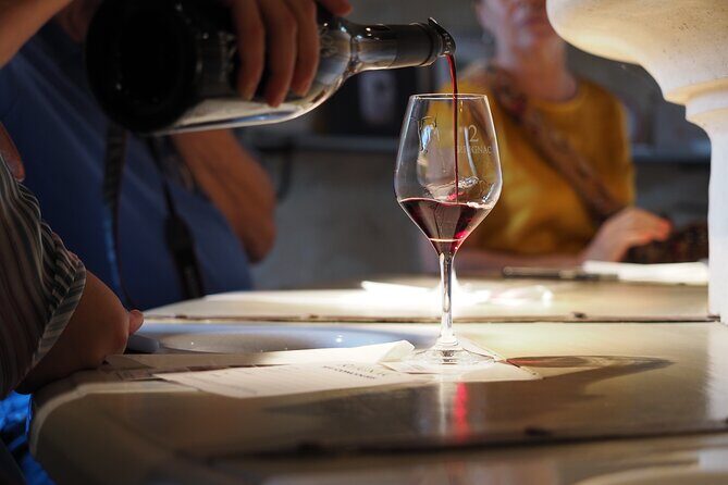 Bordeaux in a Day City and Chateau Visit Shared Walking Tour - What Real Travelers Say