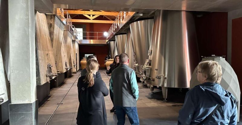 Bordeaux: Medoc tour in a small group (Luxury Mercedes EQV) - Bordeaux: Medoc tour in a small group (Luxury Mercedes EQV)