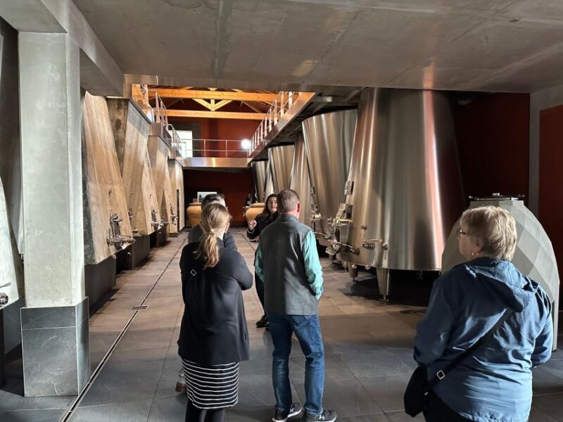 Bordeaux: Medoc tour in a small group (Luxury Mercedes EQV) - Key Points