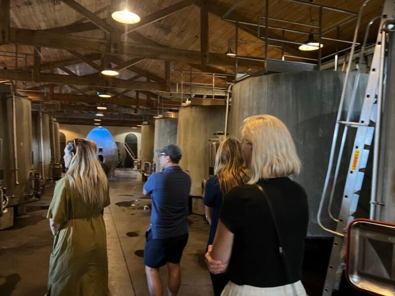 Bordeaux: Medoc tour in a small group (Luxury Mercedes EQV) - Price and Value