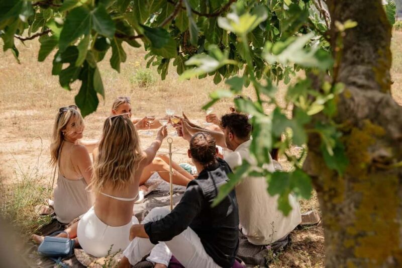 Bordeaux: Private Horseback Riding and Wine Tasting & Picnic - Key Points