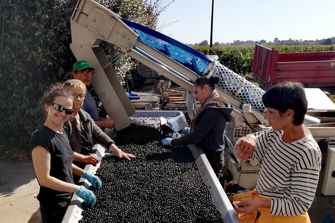 BORDEAUX region UNCORKED - Private Premium Enological Adventure - Wrapping It Up