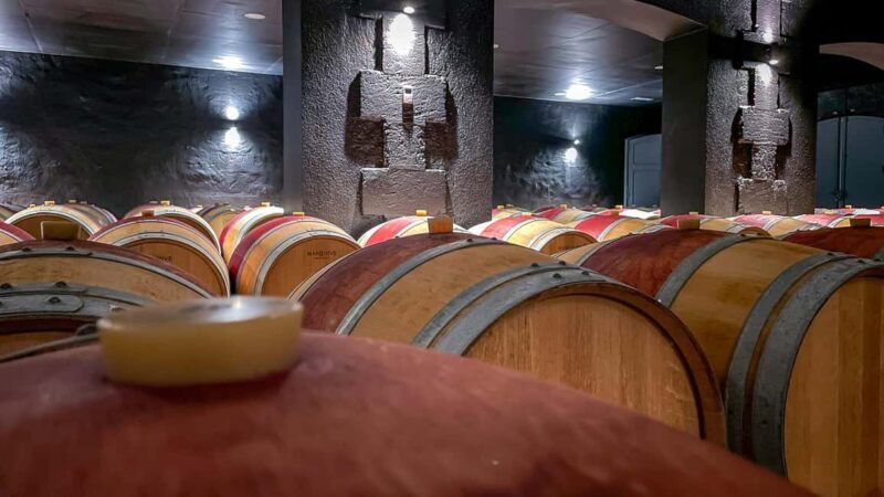 Bordeaux: Saint-Emilion and Medoc Full-Day Wine Experience - Exploring Bordeaux’s Top Wine Regions in a Day
