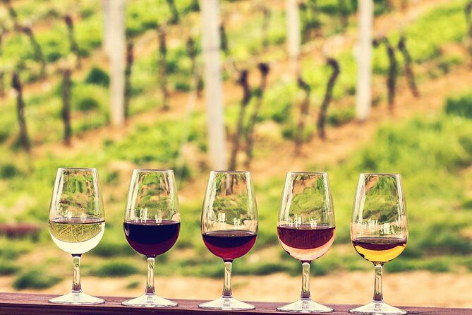 Bordeaux Shore Excursion: Private Bordeaux and St-Emilion Tour - The Experience in Detail