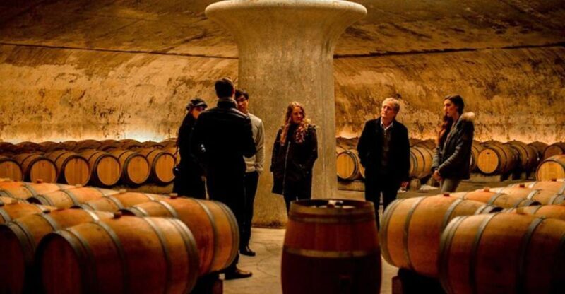 Bordeaux: St-Emilion and Medoc Wine Day Tour with Lunch - Key Points