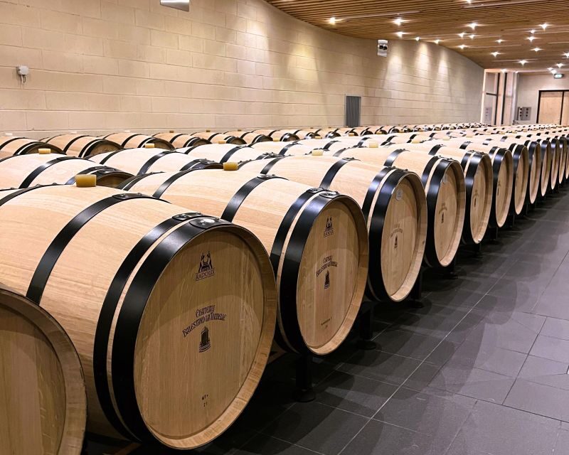 Bordeaux: St-Emilion Vineyards e-Bike Tour with Wine & Lunch - Practical Details to Keep in Mind