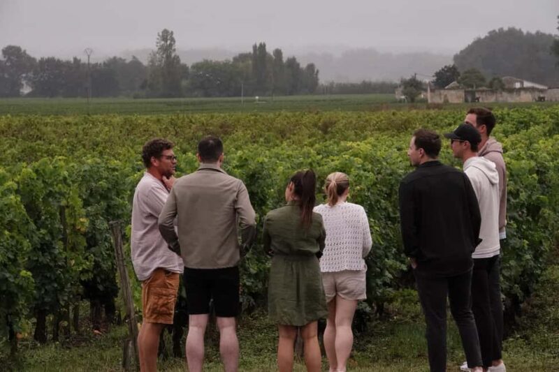 Bordeaux: St. Emilion Wine E-Bike Tour|Lunch & 13 + Tastings - Key Points