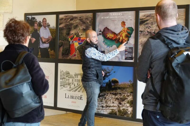 Bordeaux: St. Emilion Wine E-Bike Tour|Lunch & 13 + Tastings - The Experience and Reviews