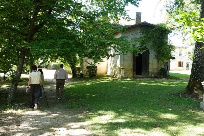 Bordeaux: St. Emilion Wine E-Bike Tour|Lunch & 13 + Tastings - Practical Details and Tips