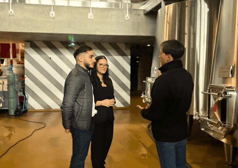 Bordeaux : Unforgettable Saint Emilion Half Day Wine Tour - Key Points