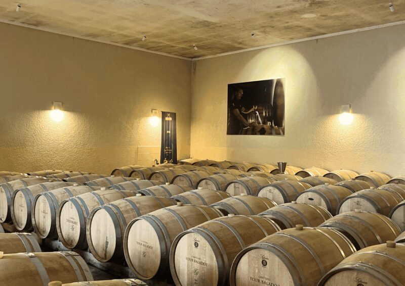 Bordeaux : Unforgettable Saint Emilion Half Day Wine Tour - What to Expect from the Tour