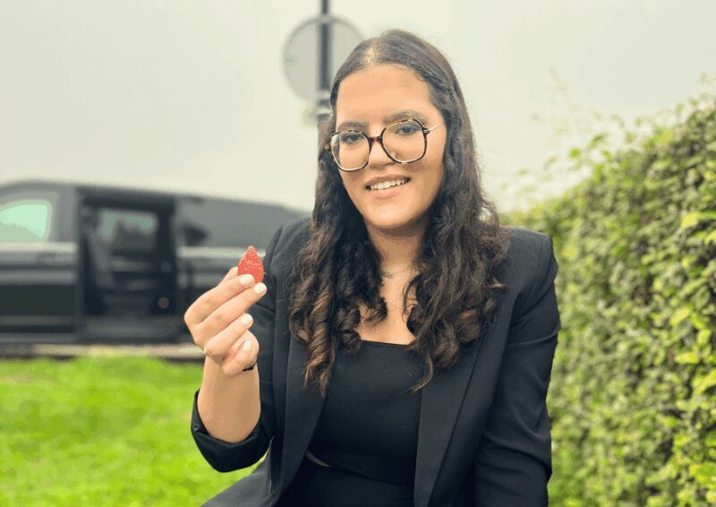 Bordeaux : Unforgettable Saint Emilion Half Day Wine Tour - What Do Reviews Say?