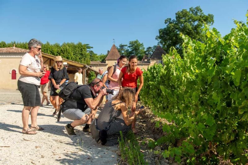 Bordeaux: Vineyards Wine Tasting Half-Day Trip - The Review Highlights from Travelers