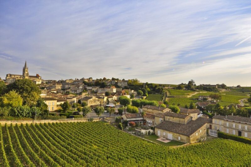 Bordeaux: Vineyards Wine Tasting Half-Day Trip - Practical Tips for Your Tour Experience