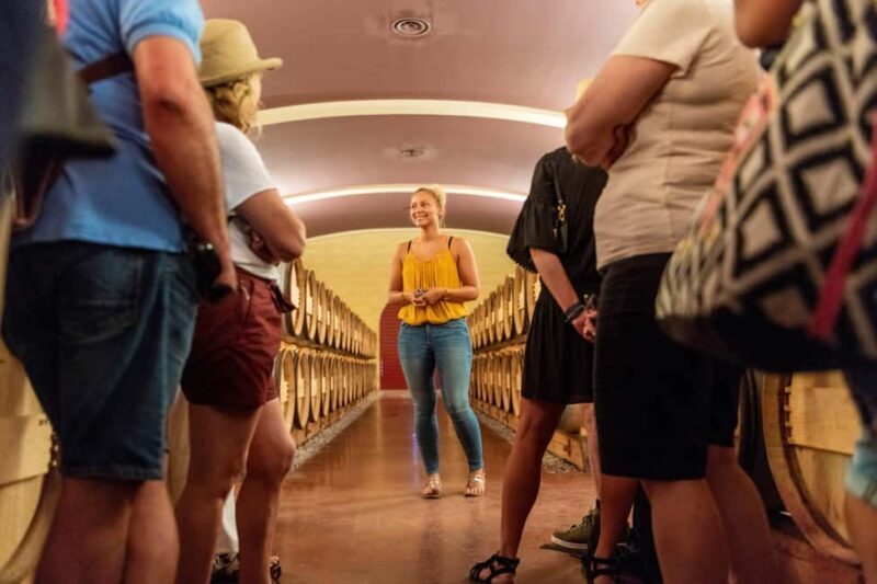 Bordeaux: Vineyards Wine Tasting Half-Day Trip - Who Is This Tour Best For?