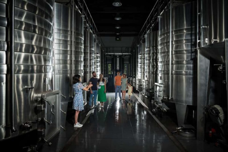 Bordeaux: Visite/dégustation hédoniste au Château de Reignac - Practical Tips for Visitors