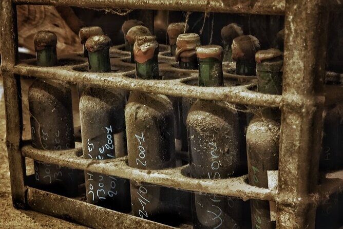 Bordeaux Wine and Trade Museum Admission Ticket with Wine Tasting - The Value Question: Is $14.51 Worth It?