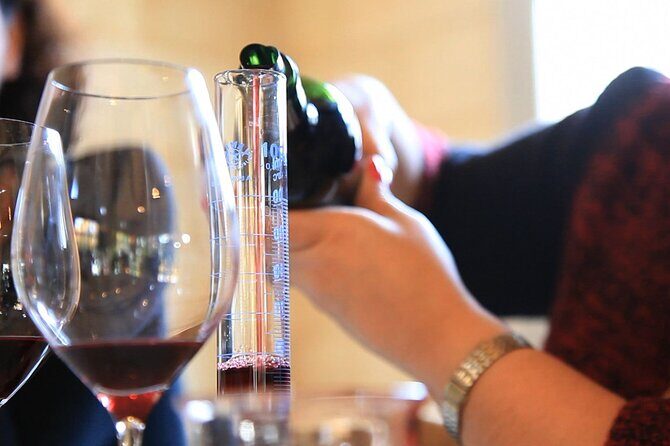Bordeaux Wine Masterclass: Blending workshop with appetizer - Who is this experience best for?