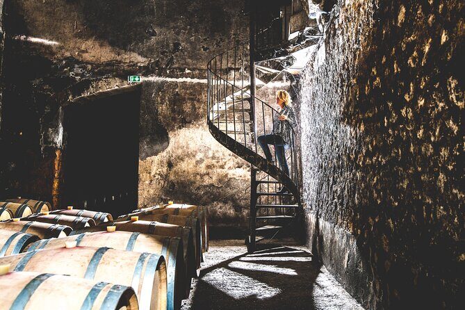 Bordeaux: Wine Tour and Tasting - Who Is This Tour Best For?