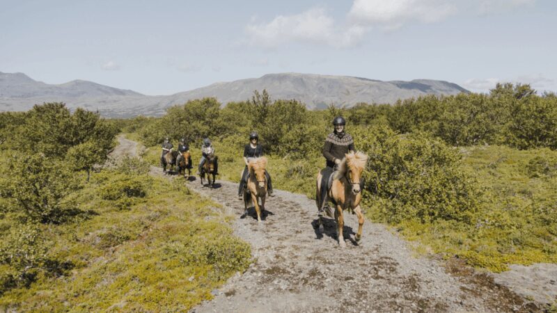 Borgarnes: Horseback Riding Tour with Prep Lesson - Key Points