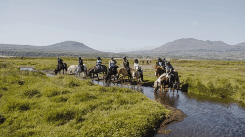 Borgarnes: Horseback Riding Tour with Prep Lesson - A Closer Look at the Tour Experience