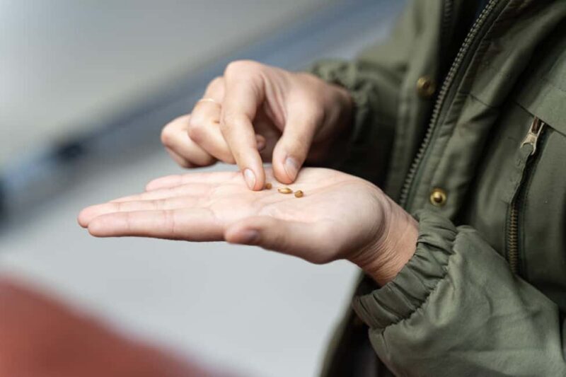 Borgorose: Guided Brewery Tour with Beer Tasting - Exploring the Tour: What You Can Expect