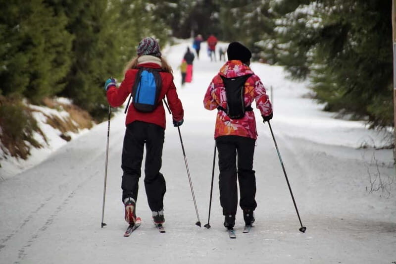 Borovets: 2-Hour Cross Country Ski Taster with Instructor - Who Is This Tour Best Suited For?