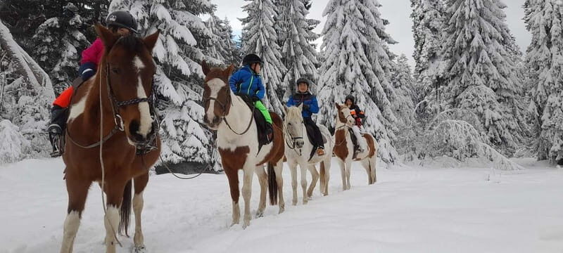 Borovets: Horse Riding Experience - Who Should Consider This Tour?