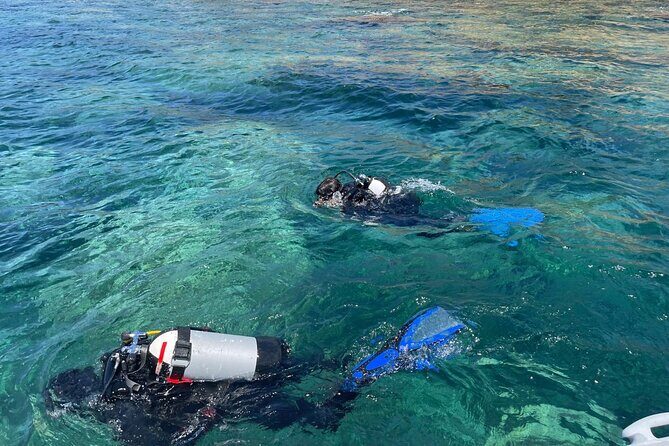 Bosa Diving Baptism - Authentic Visitor Insights